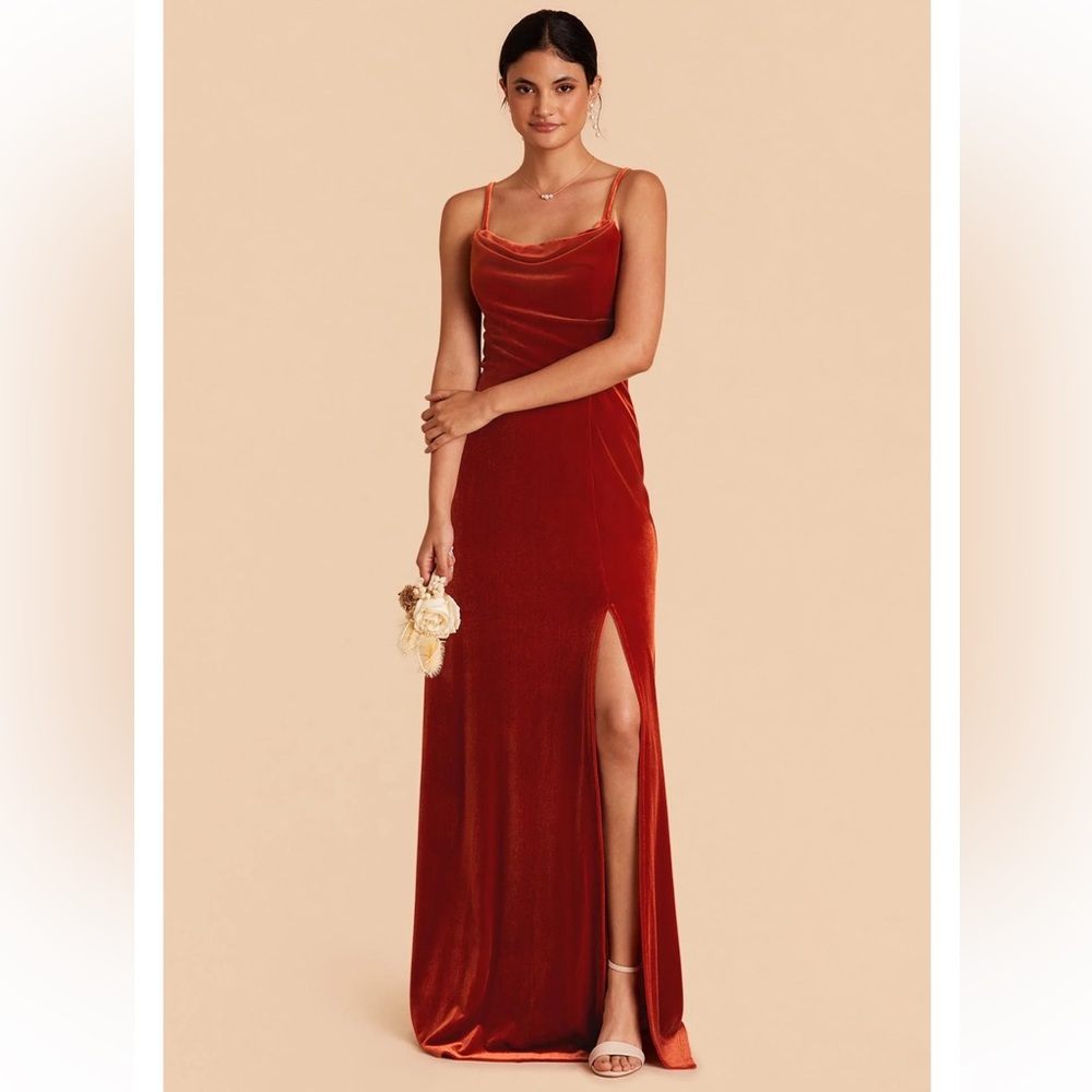 Birdy Grey Ash Dress in Velvet Burnt Orange XL